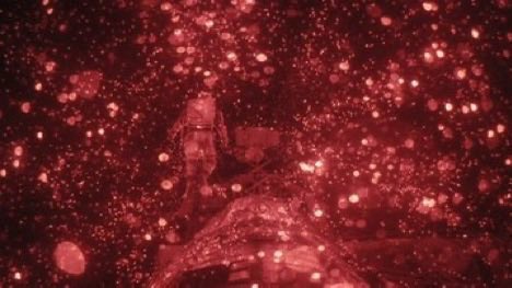 Meow’Dib loves Project Hail Mary tweet media