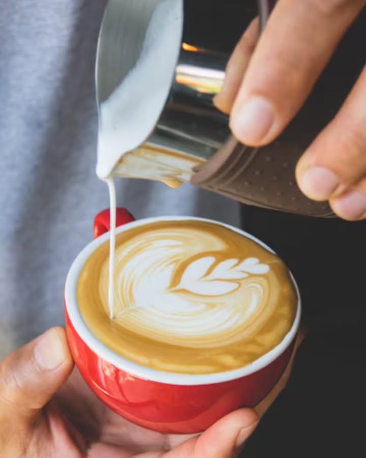 Sprout Coffee Co Chi tweet media