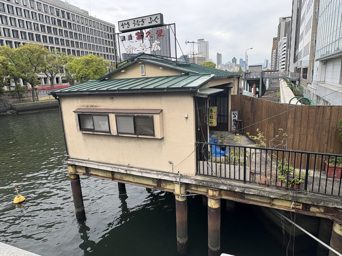 スリーピングフォレスト🎸 tweet media