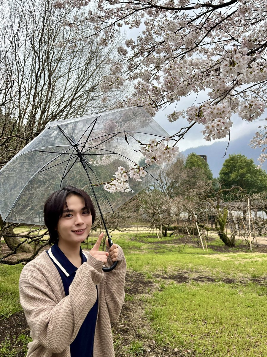 めざましテレビ tweet media