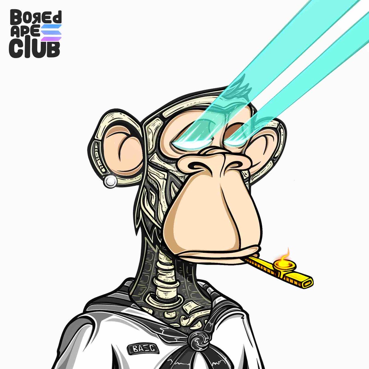 Bulls On Sol Society tweet media