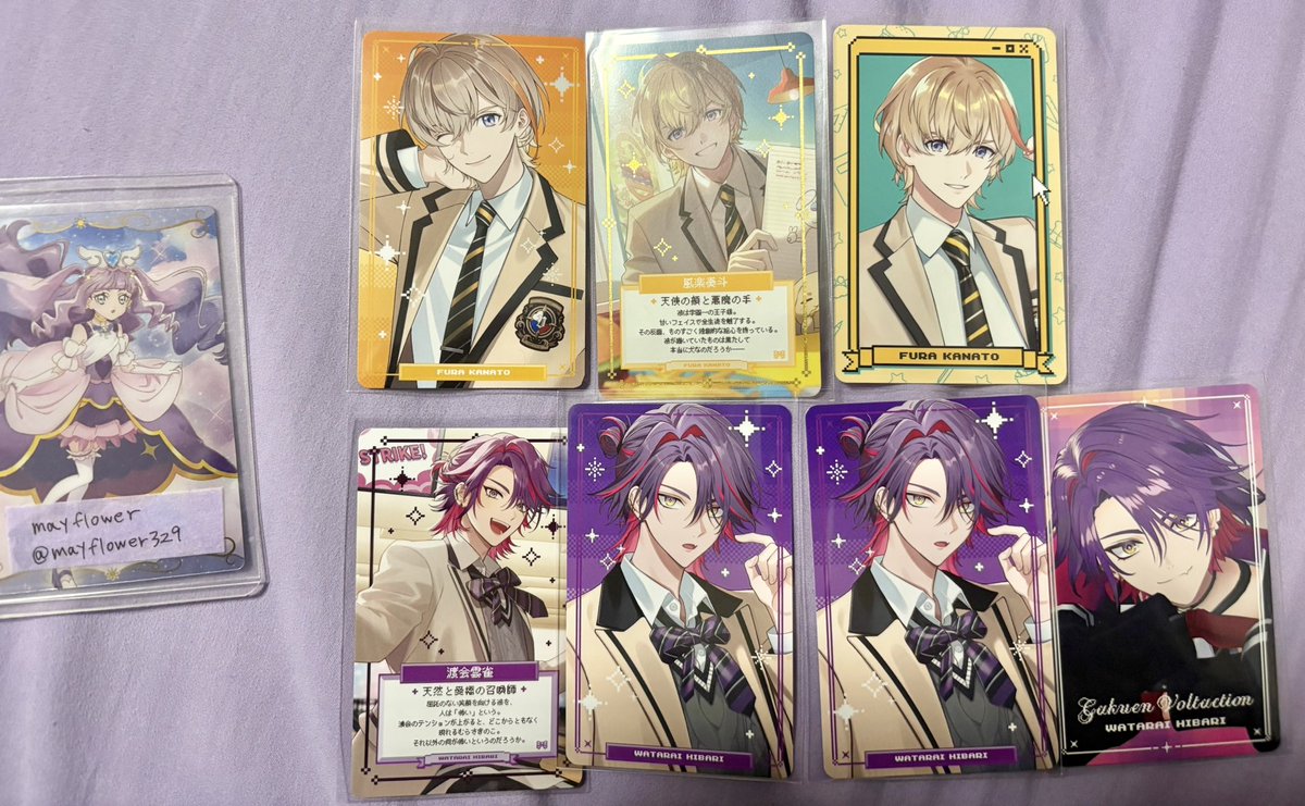 mayflower tweet media