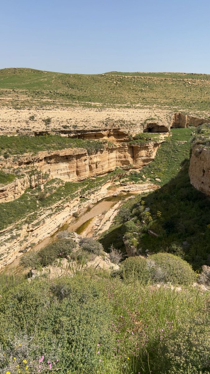 Nancy Salem 🇯🇴 tweet media