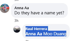 profitable tweet media