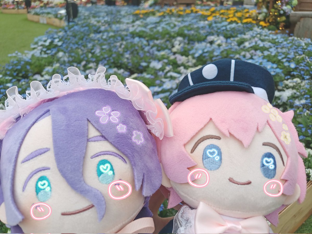 桃山ちょみ5/5ｽﾊﾟｺﾐ tweet media