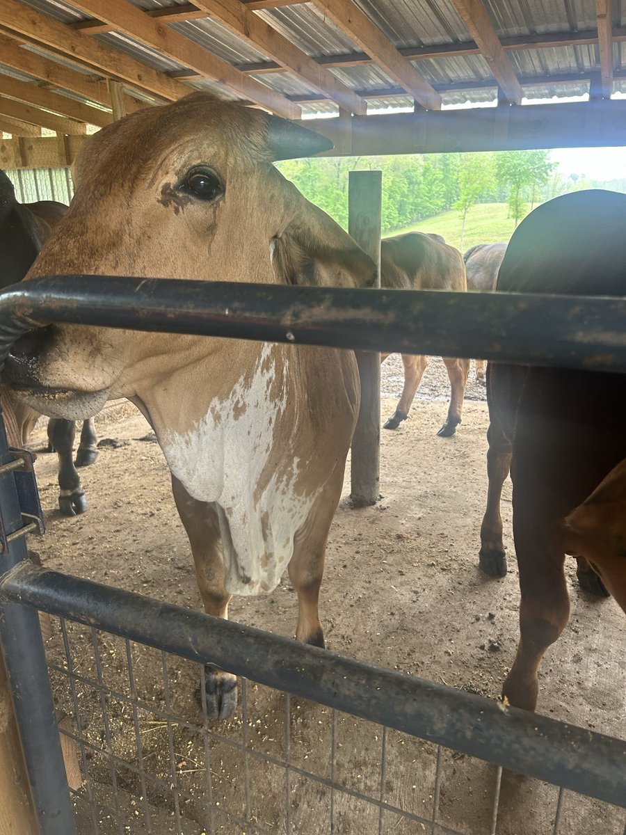 Elizabeth says good morning my friends!  Today is the day the Lord has made, let us rejoice!!