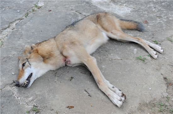 아이나 tweet media