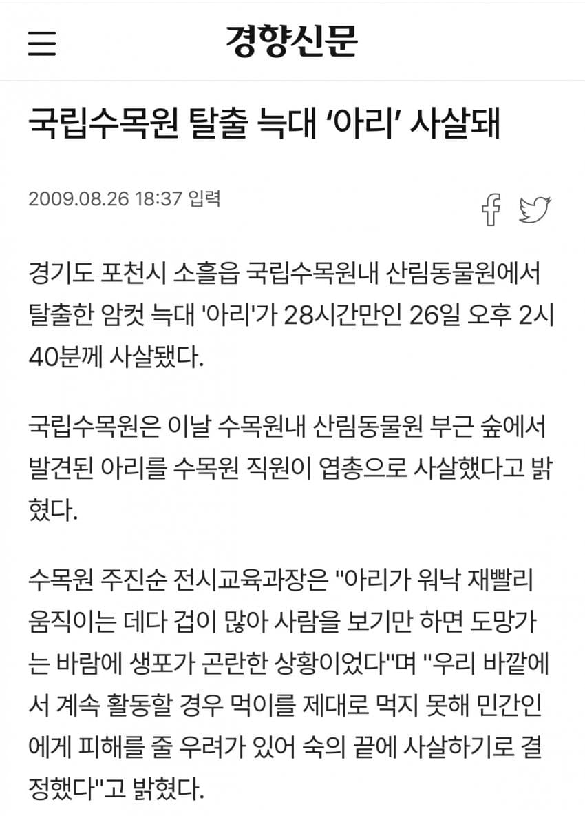 아이나 tweet media