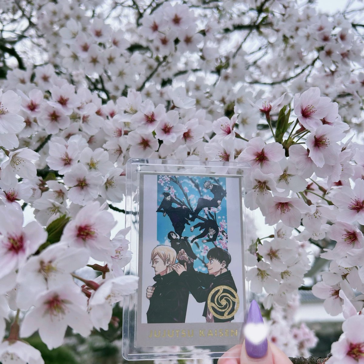 とかげ tweet media