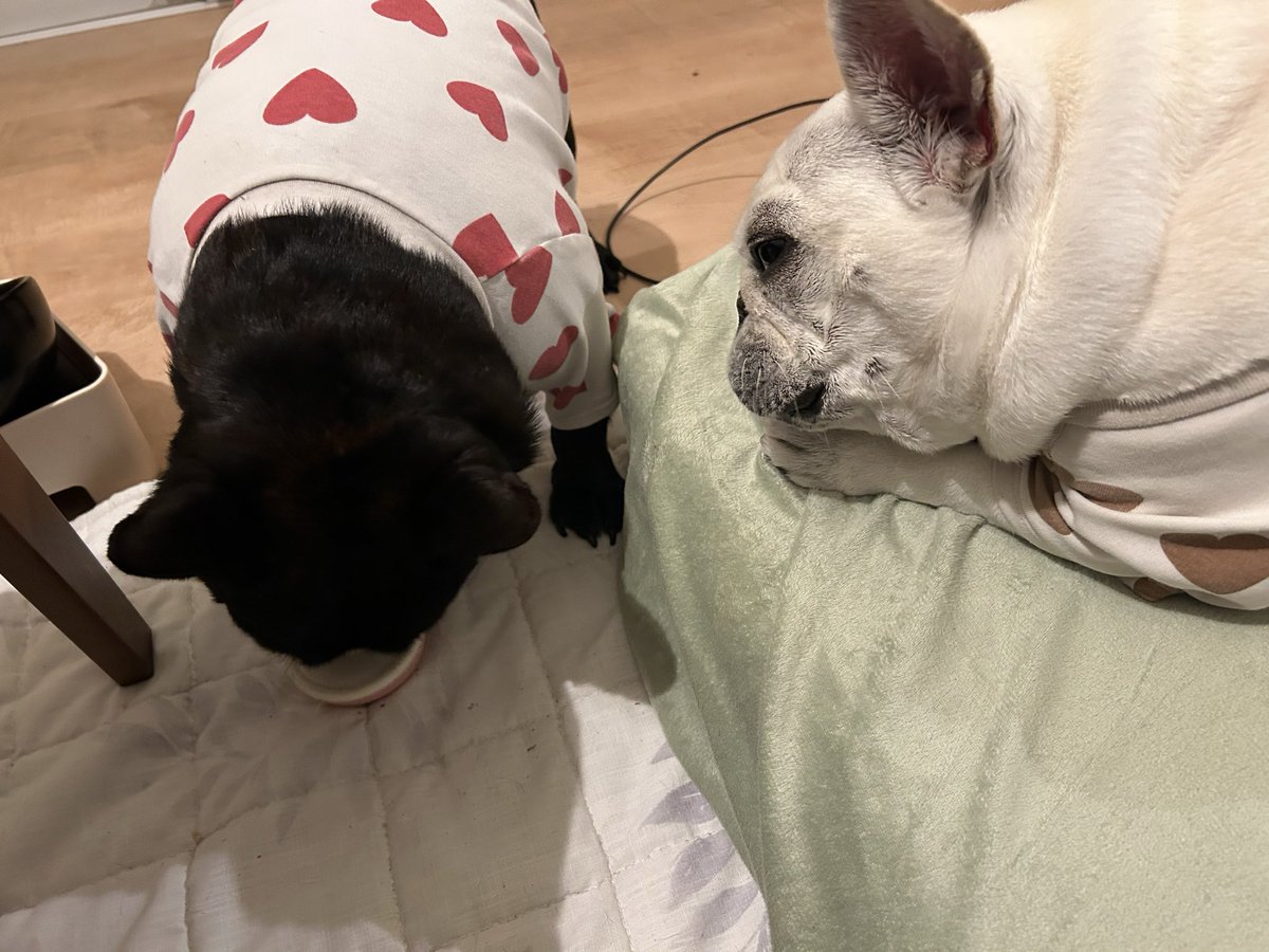 室長と助手 tweet media