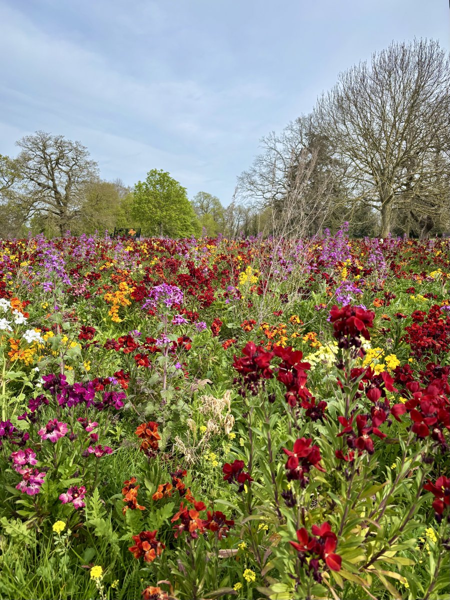 Kate North tweet media