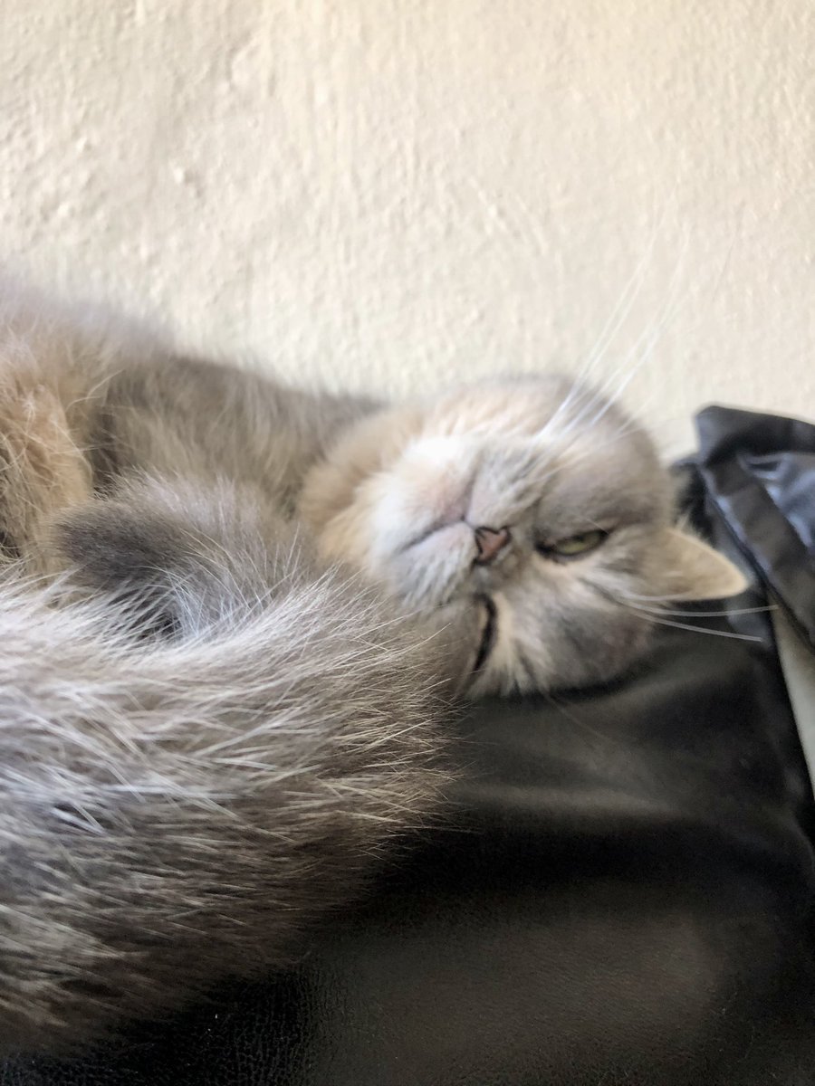 Psychedelic tweet media