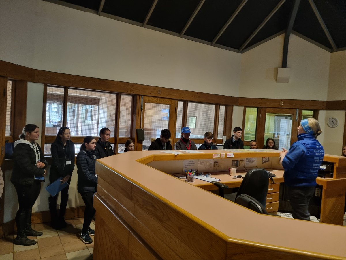 Godolphin tweet media