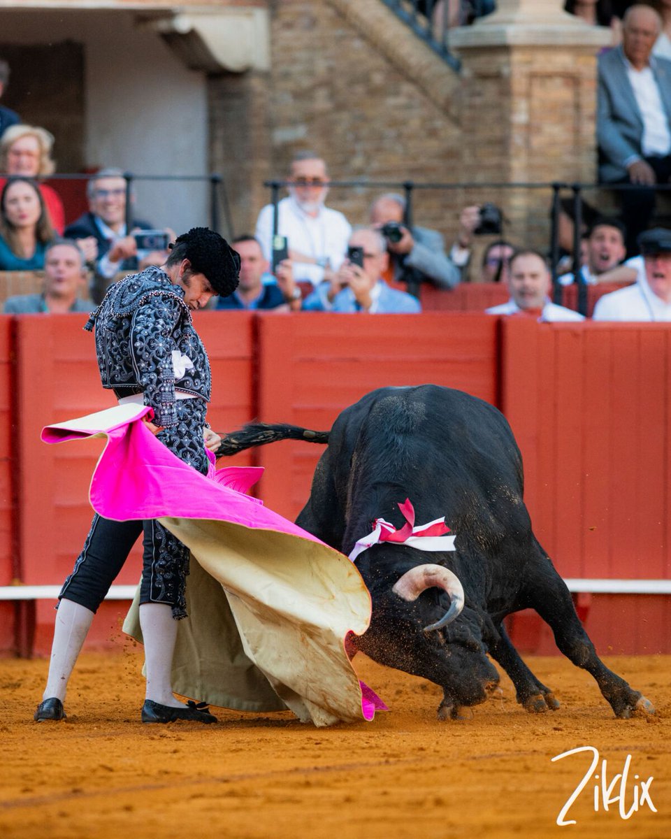 Alamares_largos tweet media