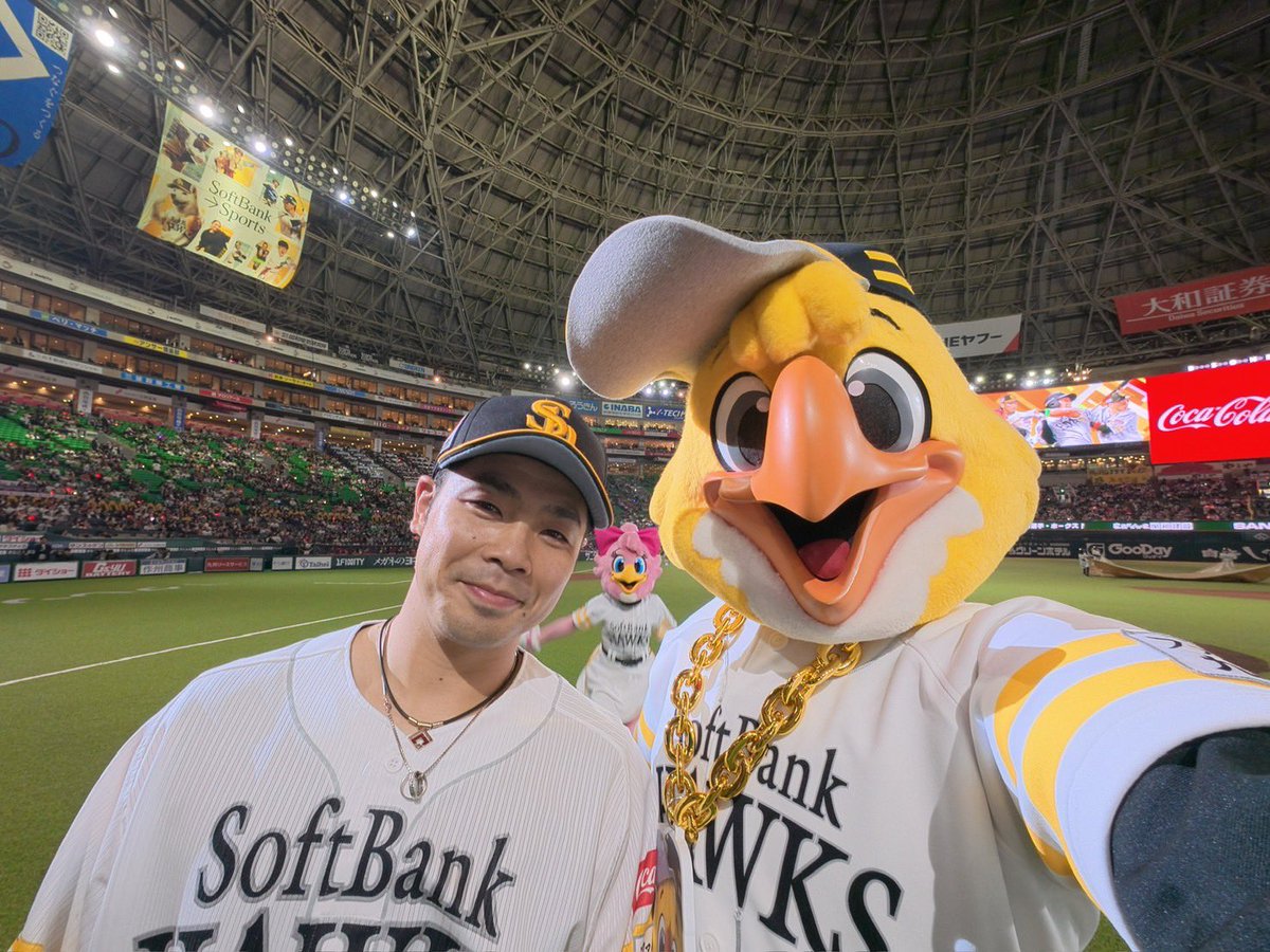 ハリーホーク(公式) tweet media