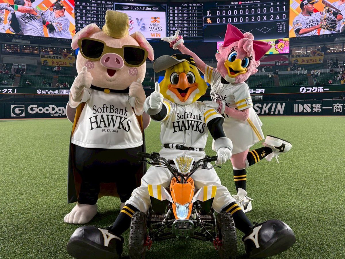 ハリーホーク(公式) tweet media