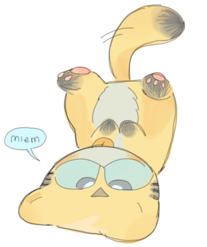 bumblebeow tweet media