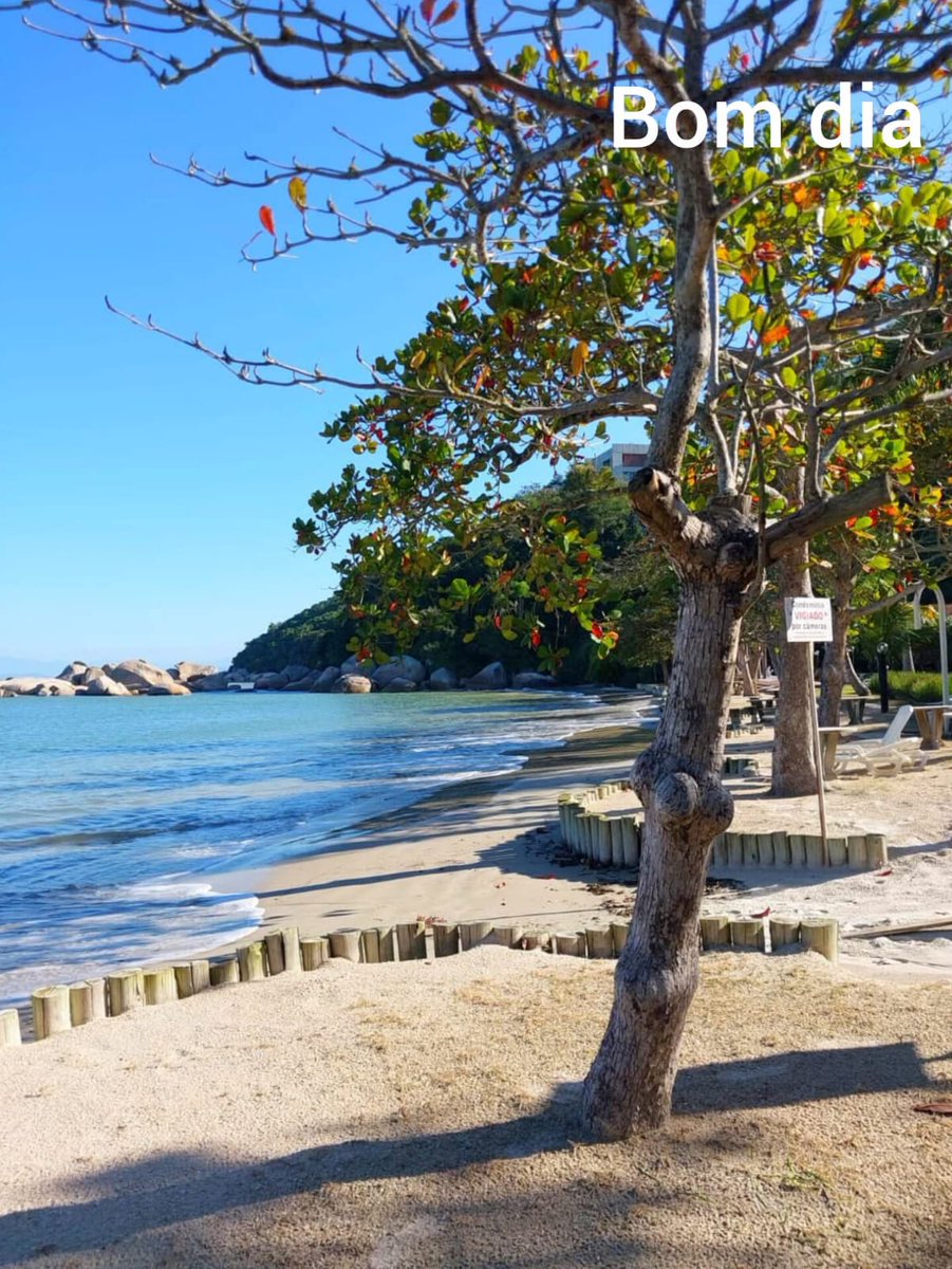 Luís Mello 🇧🇷🇧🇼 tweet media