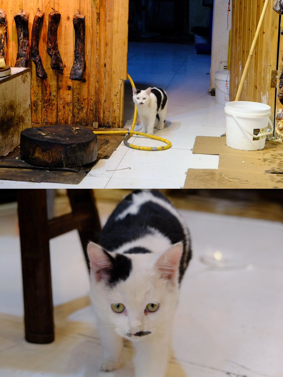 Boooo波妞! tweet media