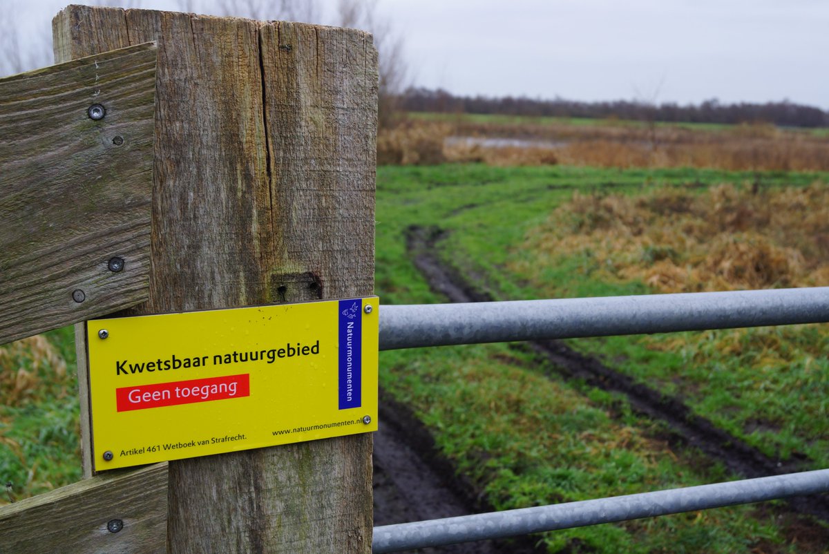 Het Nederlandse Natuurherstelplan zet in op minimaal 450.000 hectare extra voor natuurdoelen. Nederland is een stuk ambitieuzer dan Europa. Dat blijkt uit het concept natuurplan dat in handen kwam van Staf. 

stichtingagrifacts.nl/aanstaand-natu…