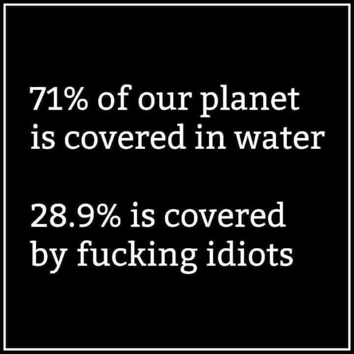 Nikki Piet tweet media