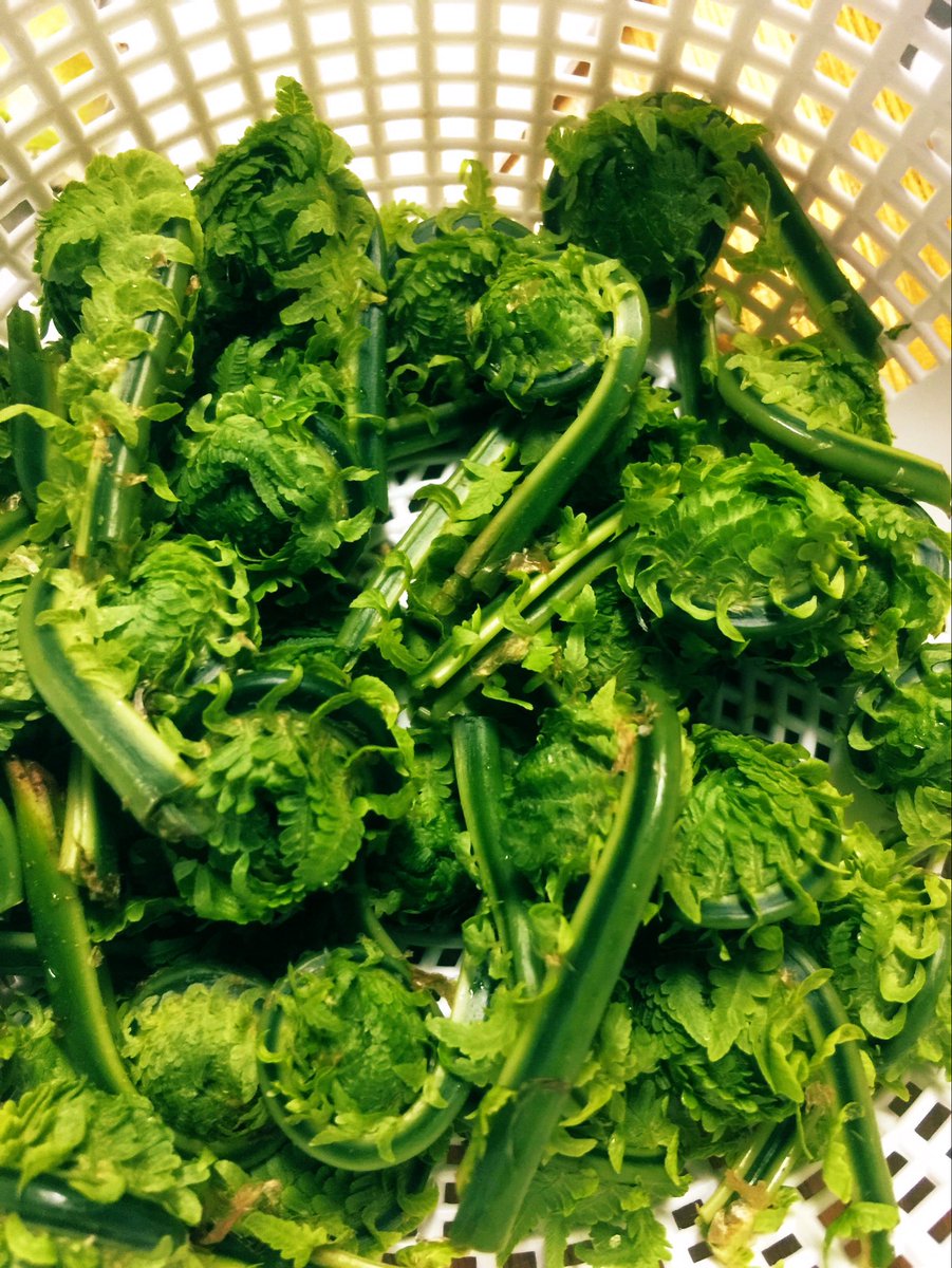 たすけ tweet media