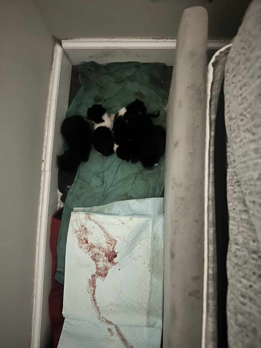 BeanBag!!! tweet media