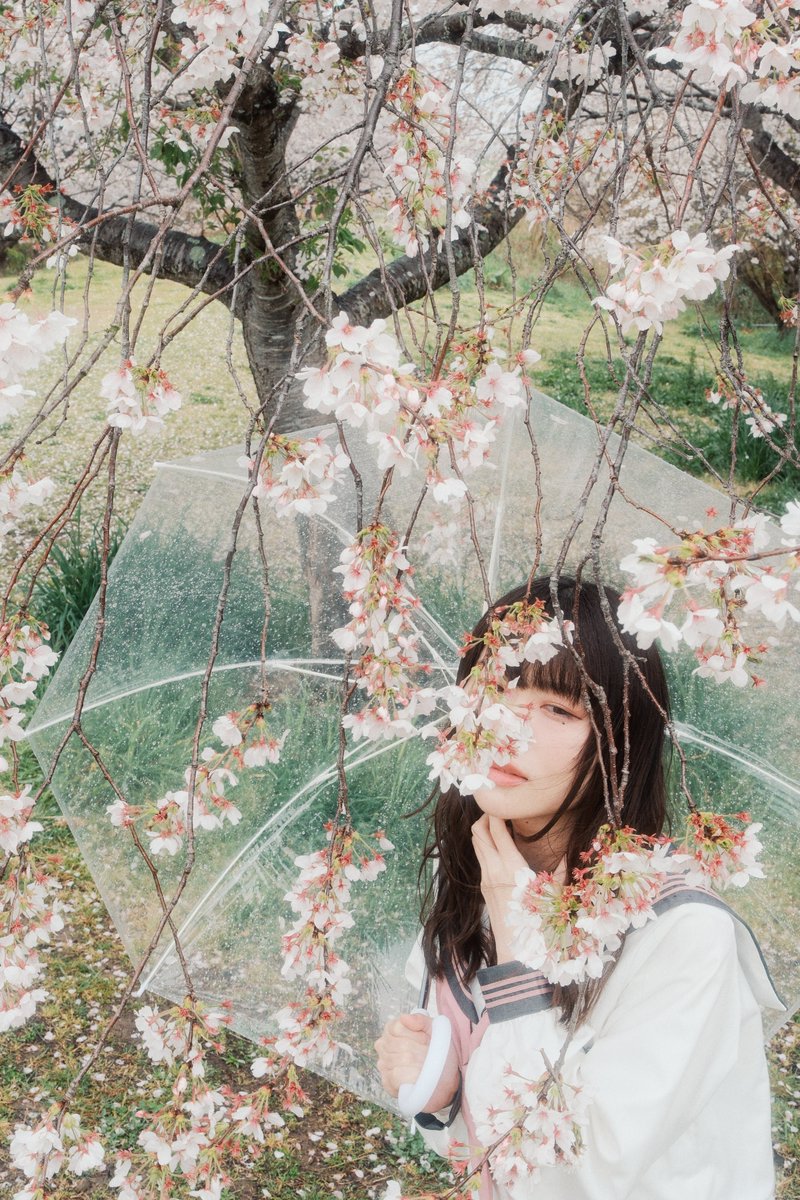 yu-san@岡山 portrait tweet media