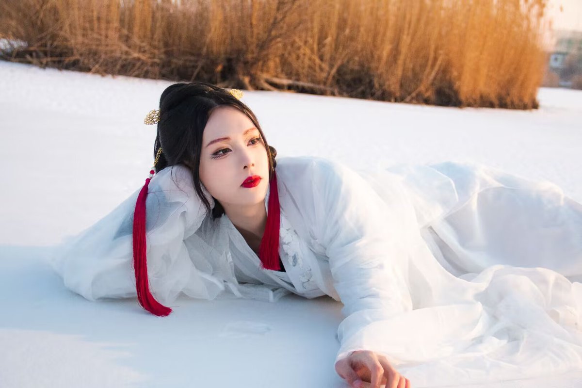 像只香芋贤者猫 tweet media