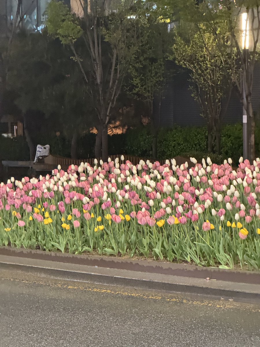 네이키드지관...❤️