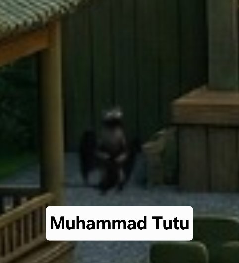 白川、KOTA。 tweet media