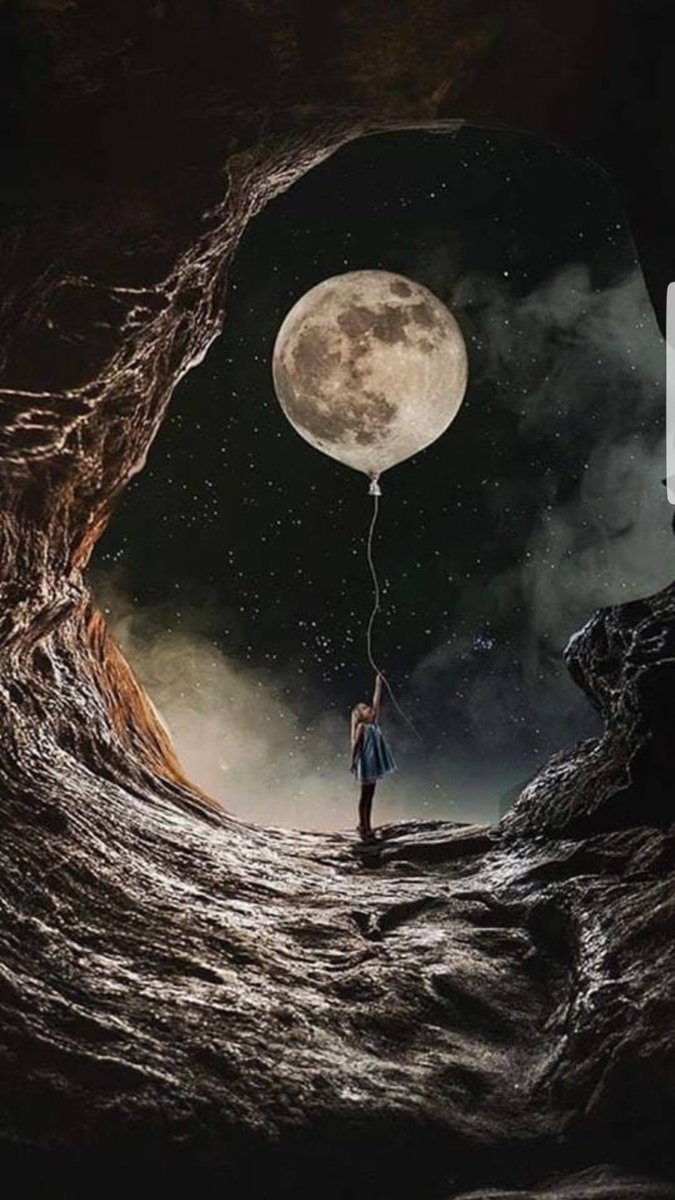 Frank Ho, Vrij Onverveerd 💫 tweet media