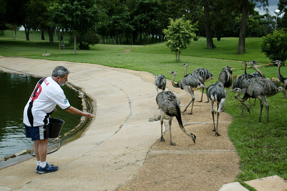 lara mendonça tweet media