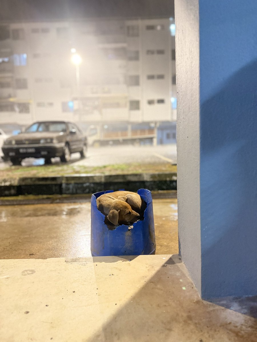 shafiq zulkefli tweet media