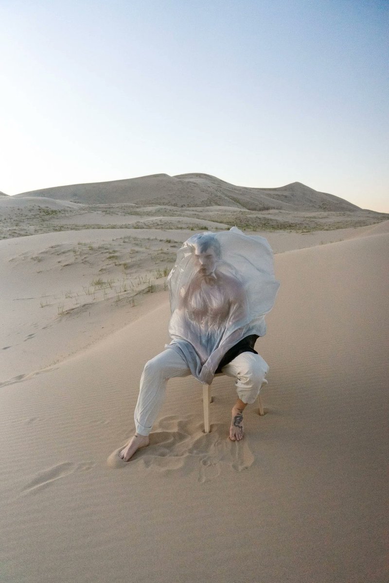 나일벌리 tweet media