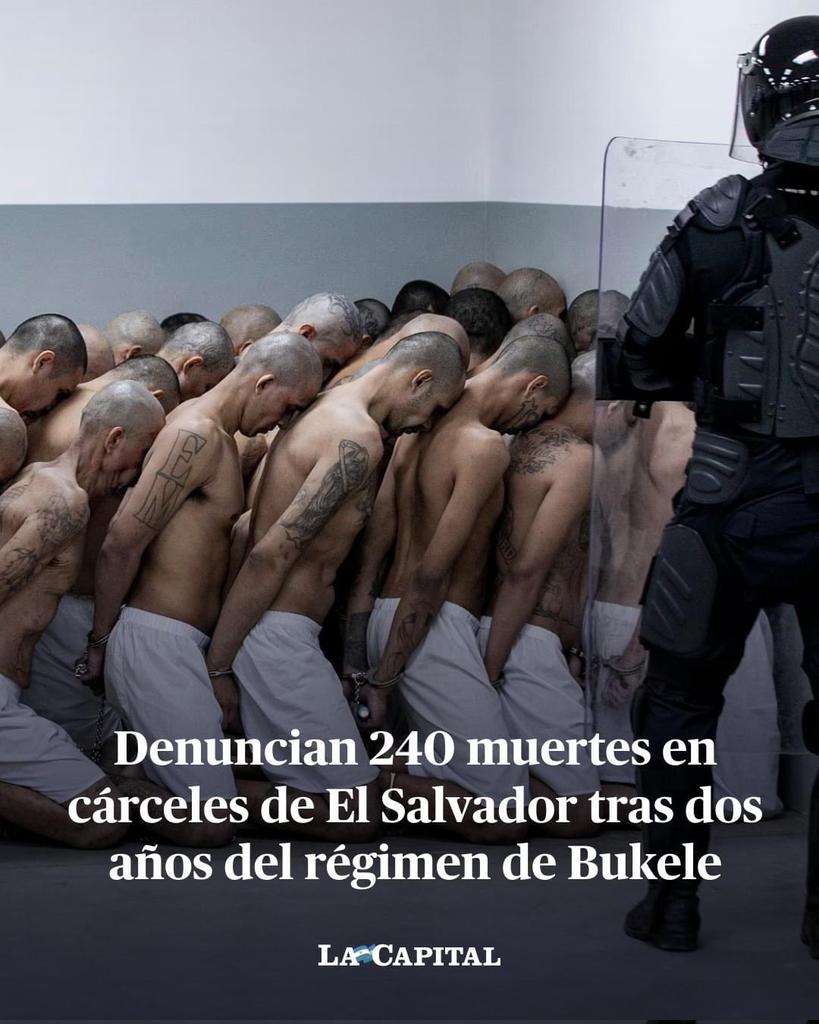 Ladrones Siendo Domad🐀s tweet media