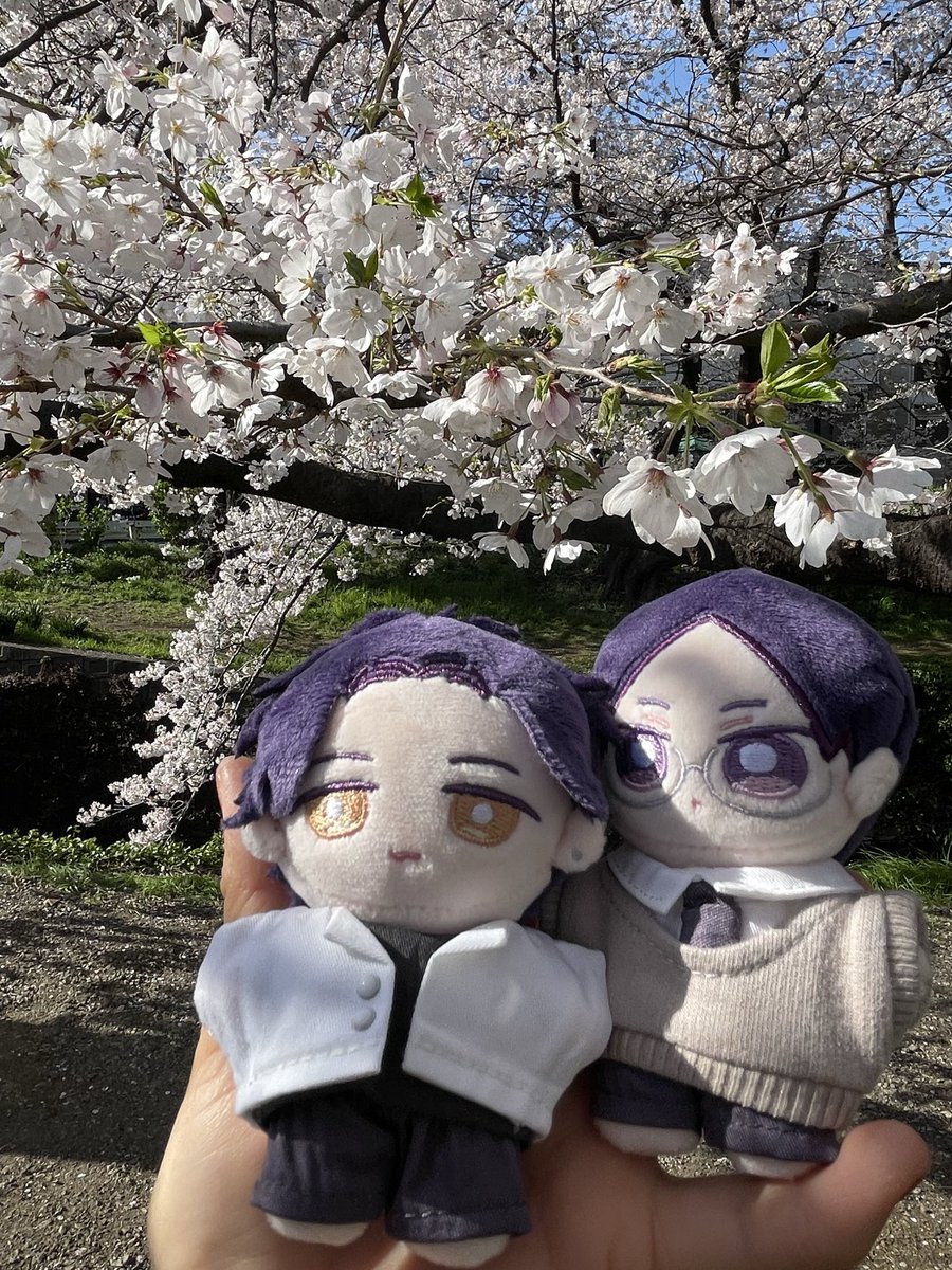 Yuki🫧 tweet media