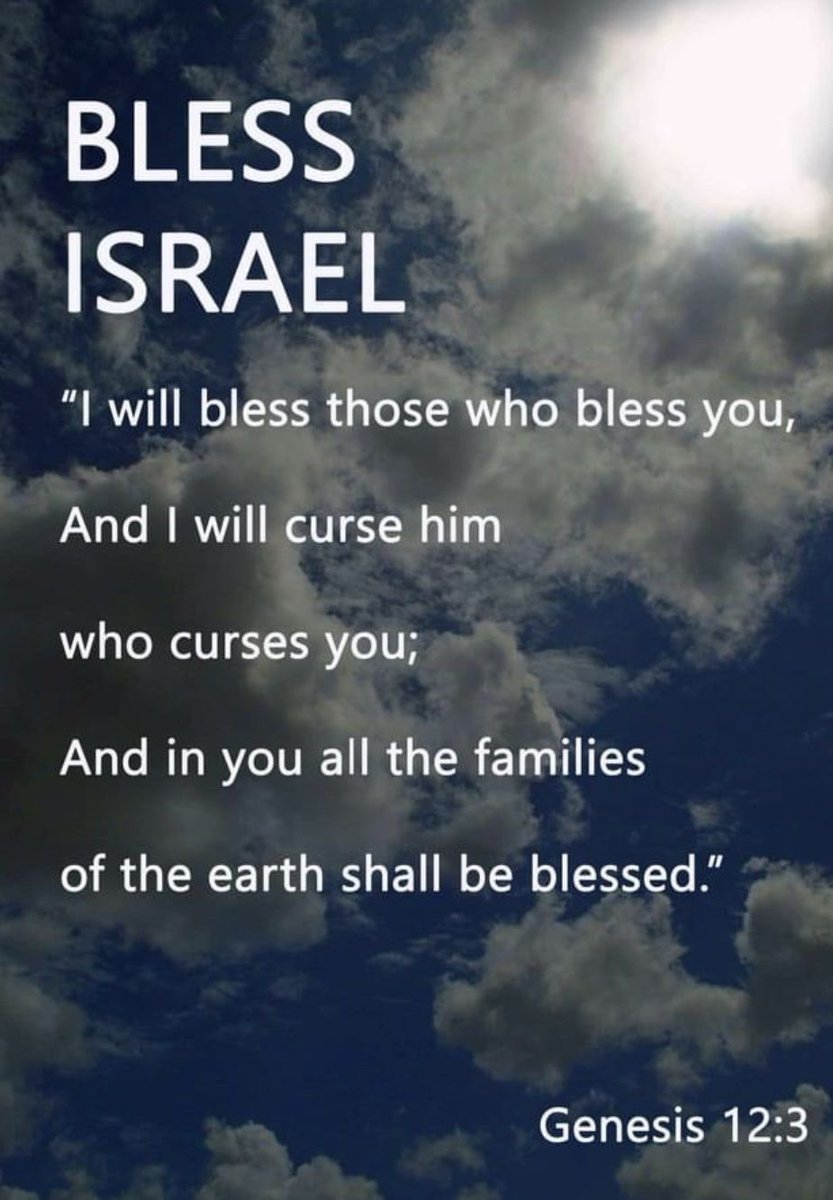 Seven (knucklehead) 🇺🇸🇮🇱 ✞ tweet media