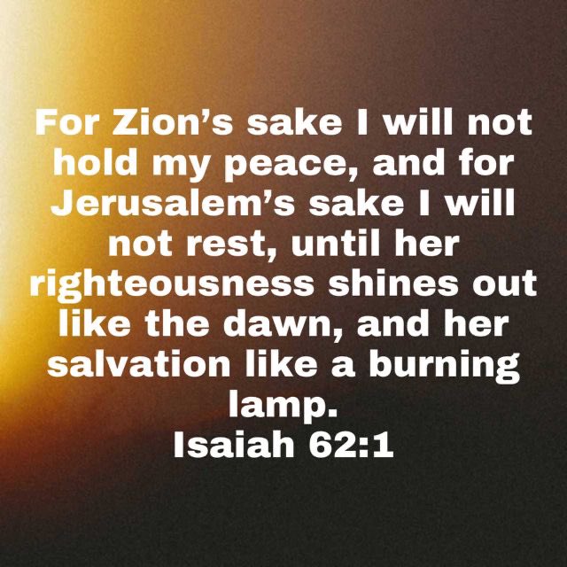 Seven (knucklehead) 🇺🇸🇮🇱 ✞ tweet media