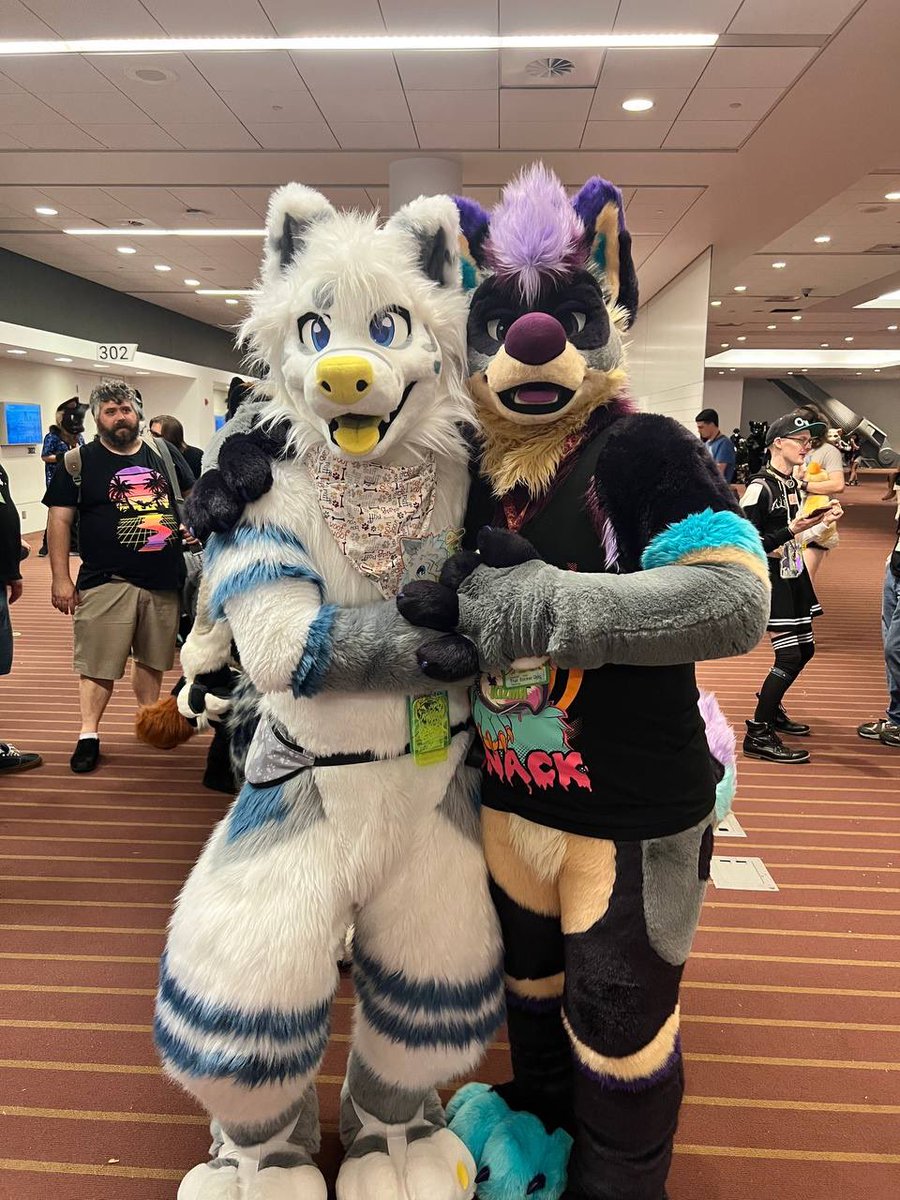 Kizma Husky tweet media