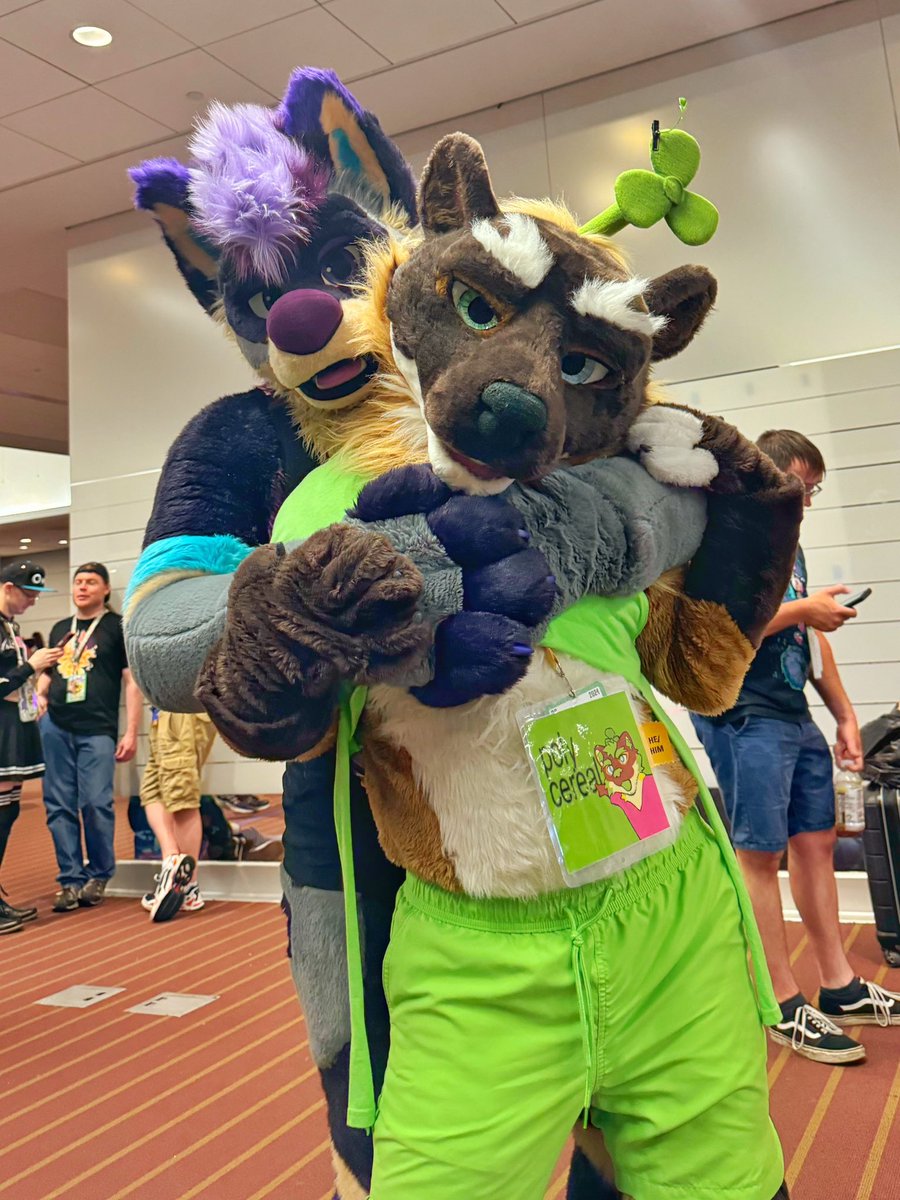 Kizma Husky tweet media