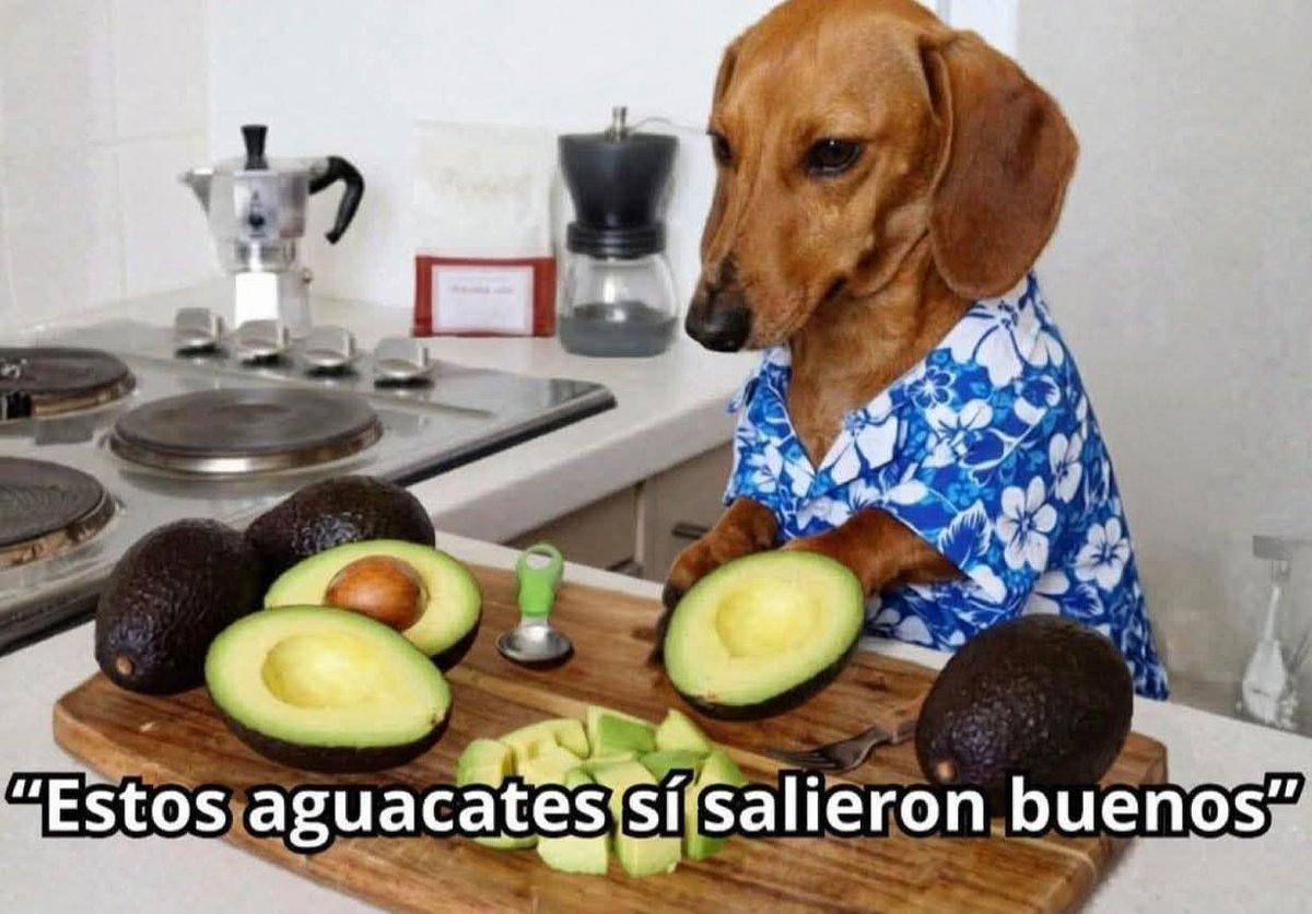 En_jupiter_'s tweet photo. Un día eres joven y al siguiente ya te avientas estás frases: https://t.co/H3mlwNAoWu