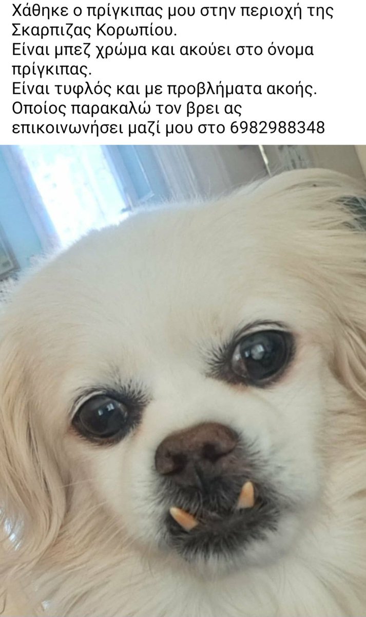 Χλε_Μπονα Σαμερ tweet media