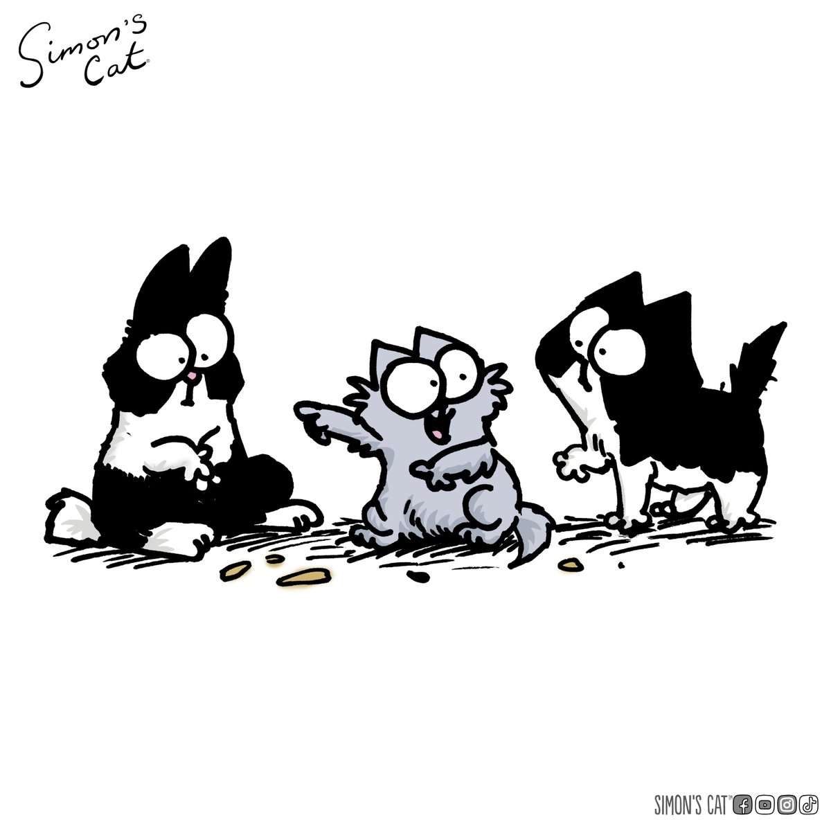 SimonsCat's tweet image. Caption this: