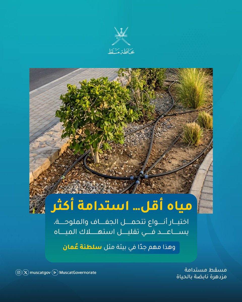محافظة مسقط - سلطنة عُمان tweet media