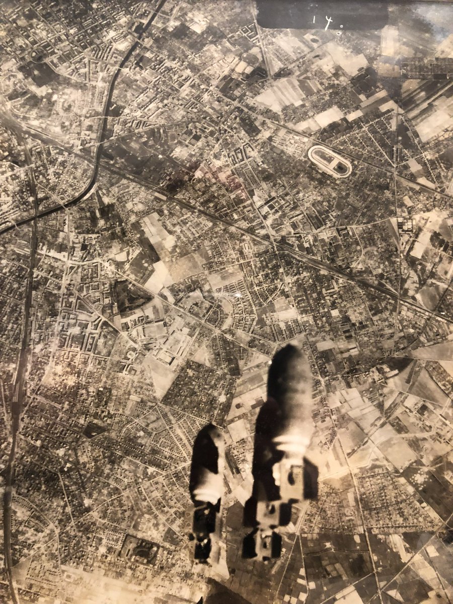 Elizabeth Ferguson tweet media