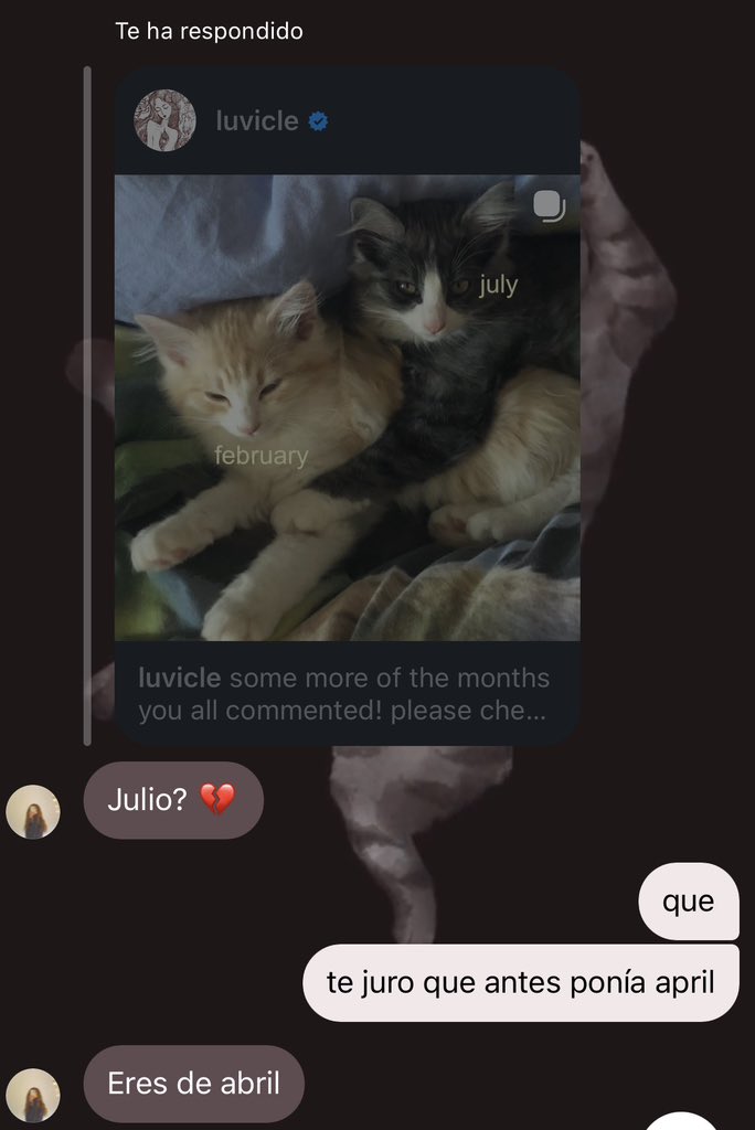 elmolukaa tweet media