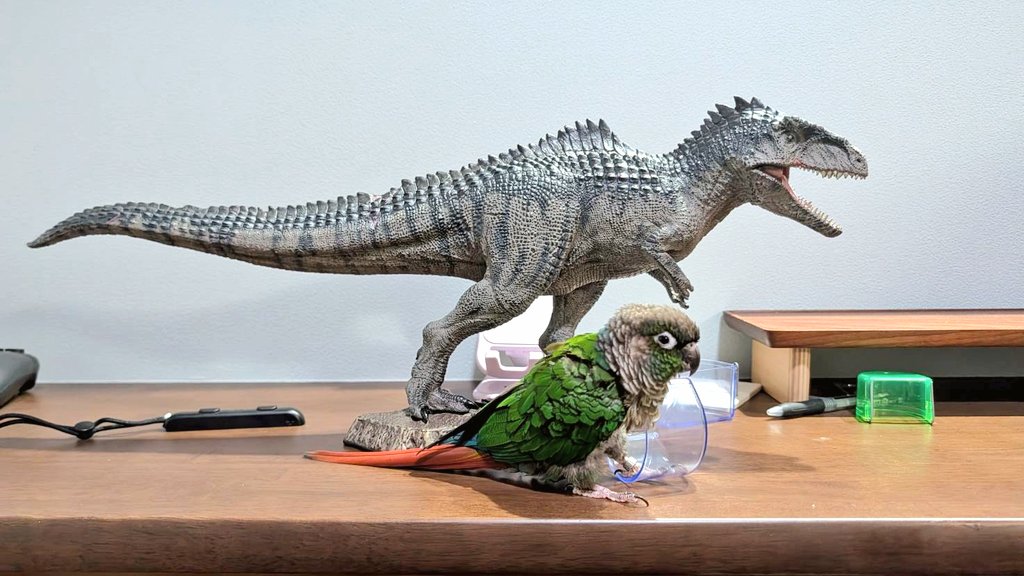 しらとり𓅫 tweet media