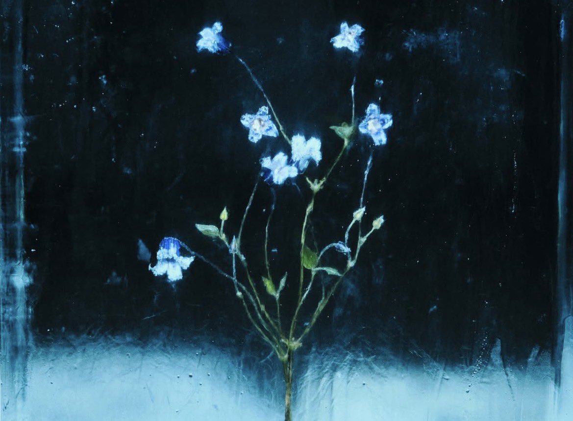 바다 🌊 tweet media