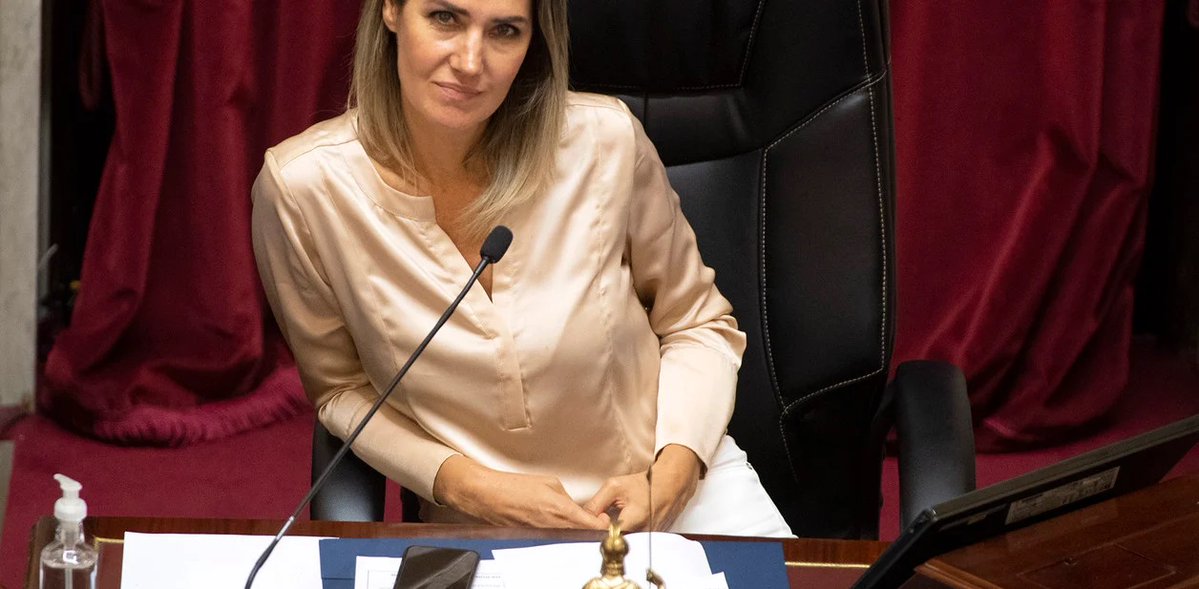 Senadora de UCR con frases en defensa de proyecto de falsas denuncias | cuartopodersalta.com.ar/senadora-de-uc…